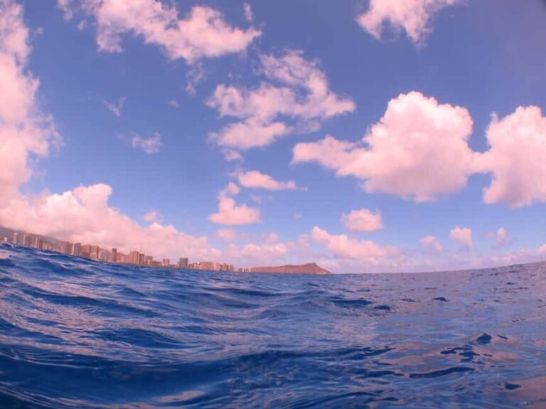 Waikiki: AM Paradise Honu Snorkeling - The Itinerary: What to Expect