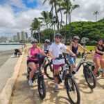 Waikiki: Guided E-Bike Tour with Local History & Ocean Views - What Makes This Tour Stand Out?