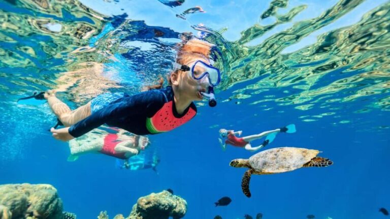 Waikiki: Snorkeling & Ocean Playground Experience - Water Activities and Playful Additions