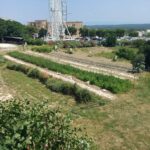 Walk and Aperitif in the Secret Gardens of Ostuni - The Food and Drink Highlights