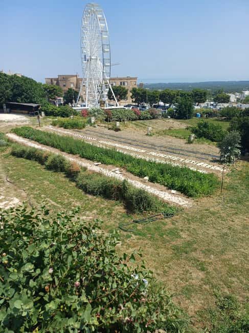Walk and Aperitif in the Secret Gardens of Ostuni - The Food and Drink Highlights