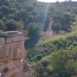 Walk through Lama S.Croce: Between Trulli and Olive Trees - Who Is This Tour Best For?