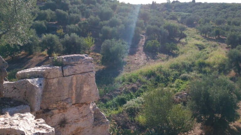 Walk through Lama S.Croce: Between Trulli and Olive Trees - Who Is This Tour Best For?