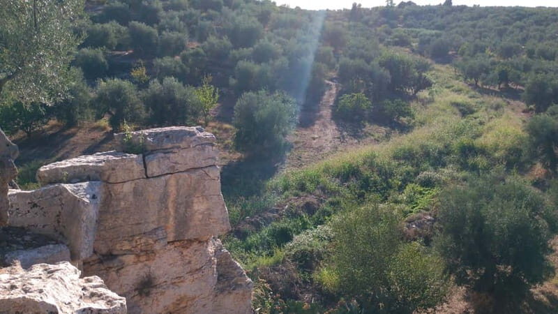 Walk through Lama S.Croce: Between Trulli and Olive Trees - Who Is This Tour Best For?