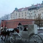 Warsaw: Tour to Krakow and Auschwitz by Train with Pickup - Visiting Auschwitz and Birkenau