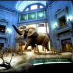 Washington D.C. Natural History Museum Family Scavenger Hunt - Final Thoughts