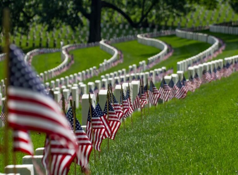 Washington, DC: Arlington Cemetery & Memorials Tour - Who Will Love This Tour