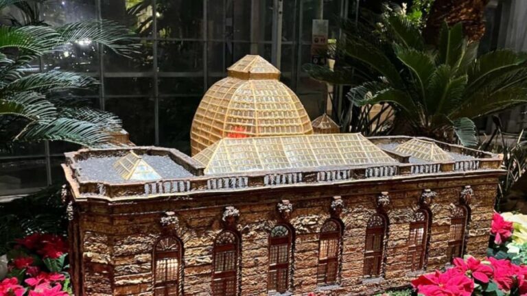 Washington, DC: Christmas Tree & Holiday Lights Bus Tour - Practical Details and Tips