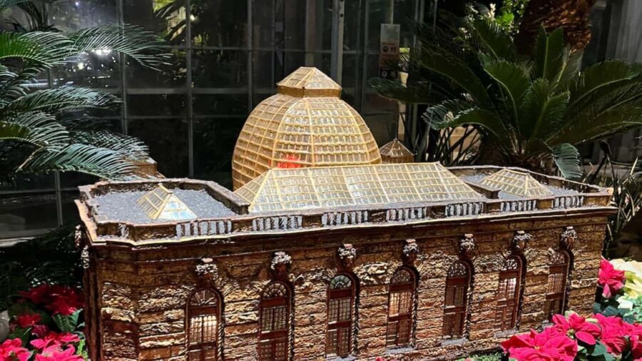 Washington, DC: Christmas Tree & Holiday Lights Bus Tour - Practical Details and Tips