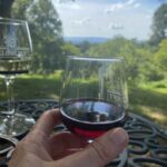 Washington, DC: Virginia Wine Region Experience Tour - The Experience’s Value