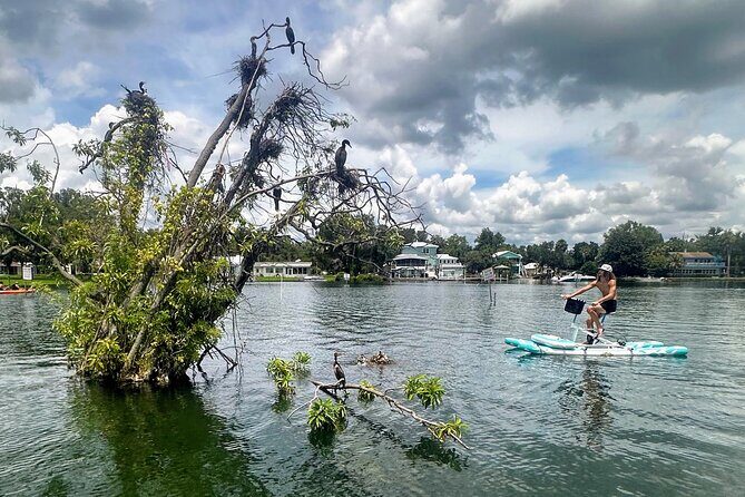 Water Bike Rental in Crystal River - The Experience: What to Expect