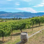 West Kelowna: Afternoon Sightseeing and Wine Tour - What You Can Expect at Each Winery