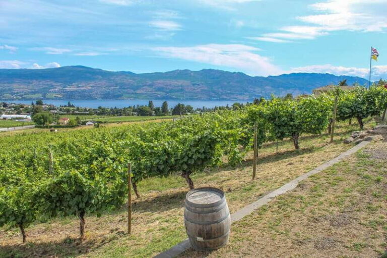 West Kelowna: Afternoon Sightseeing and Wine Tour - What You Can Expect at Each Winery