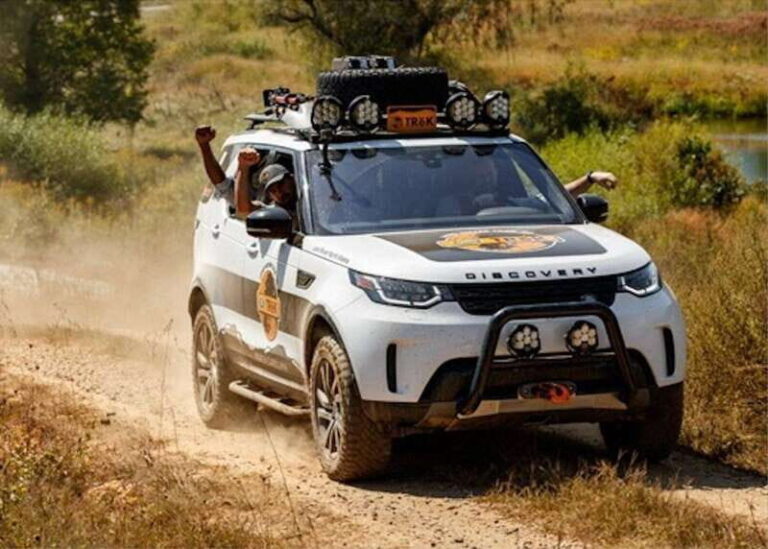 Whistler: Afternoon Bears Spotting Tour in Land Rover - Authentic Experiences from Real Travelers