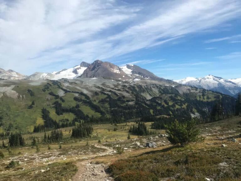 Whistler: Alpine Hiking Tour with Gondola Ride - The Authentic Experience