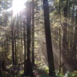 Whistler: Cheakamus Lake Guided Hike in Garibaldi Park - An In-Depth Look at the Cheakamus Lake Guided Hike