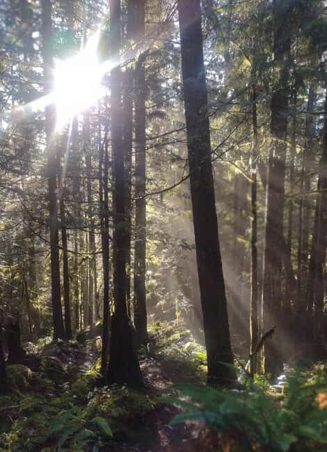 Whistler: Cheakamus Lake Guided Hike in Garibaldi Park - An In-Depth Look at the Cheakamus Lake Guided Hike