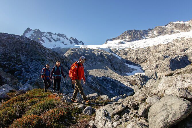Whistler Guided Day Hiking - Who Will Love This Tour?