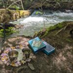 Whistler: Tour, Immersive Nature Experience - Practical Details and Value