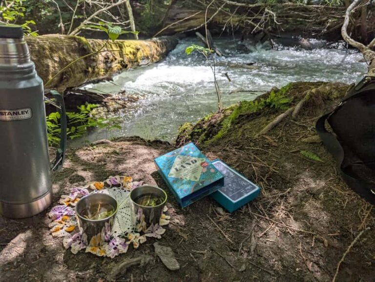 Whistler: Tour, Immersive Nature Experience - Practical Details and Value