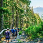 Whistler: Ziplining Experience - The Sum Up