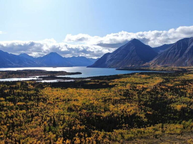 Whitehorse: Kluane - Wildlife & Vistas - What’s Included and What’s Not