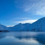 Whittier Cruise Shuttle Tour with Multiple Stops - Stop 2: Alaska Wildlife Conservation Center