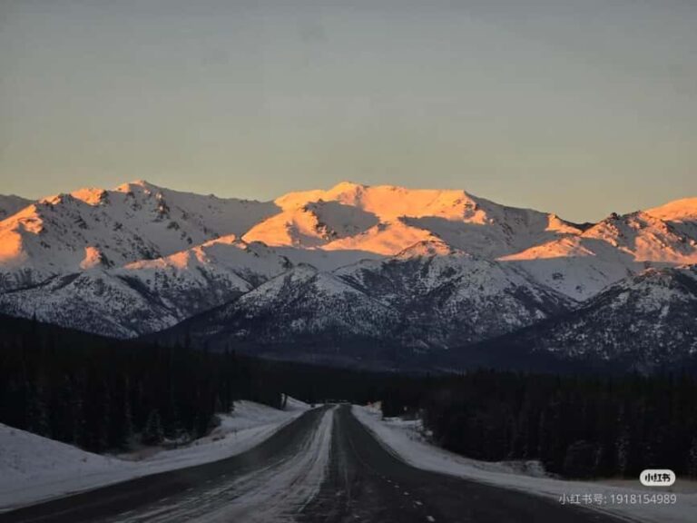 Whittier Cruise Shuttle Tour with Multiple Stops - Why the Value of This Tour Stands Out