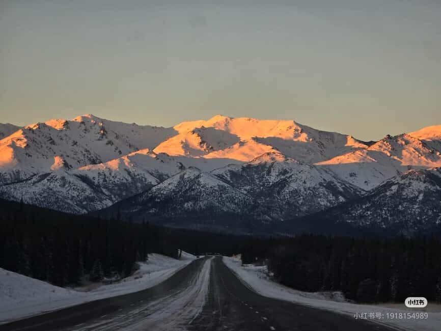 Whittier Cruise Shuttle Tour with Multiple Stops - Why the Value of This Tour Stands Out
