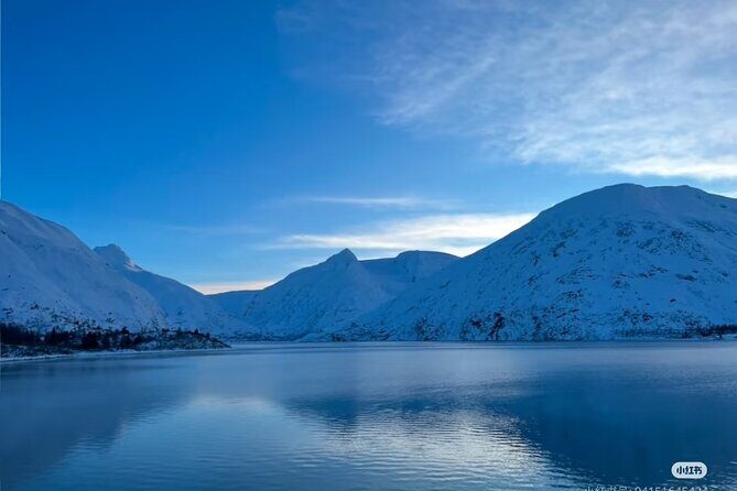 Whittier Cruise Shuttle Tour with Multiple Stops - Stop 2: Alaska Wildlife Conservation Center