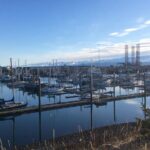 Whittier to Anchorage Sightseeing with Wildlife Tour - An In-Depth Look at the Itinerary