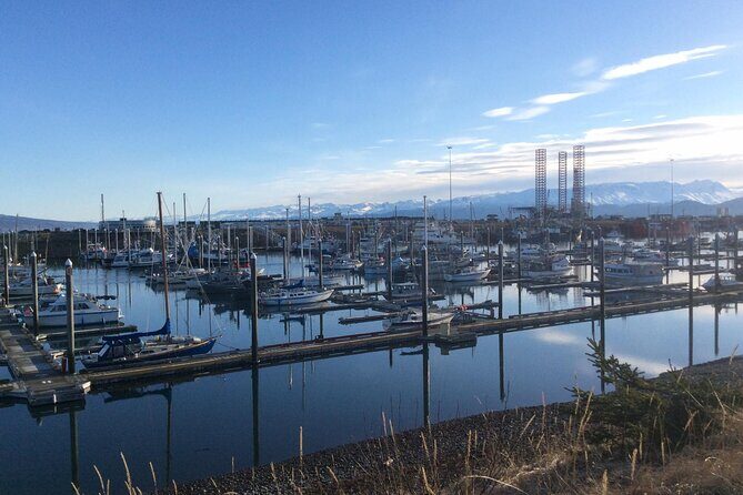 Whittier to Anchorage Sightseeing with Wildlife Tour - An In-Depth Look at the Itinerary