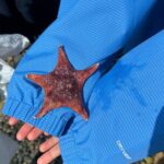 Whytecliff Park Indigenous Salish Sea Walking Tour - Practical Details and What to Expect