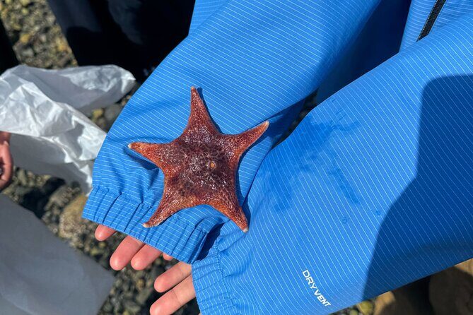 Whytecliff Park Indigenous Salish Sea Walking Tour - Practical Details and What to Expect