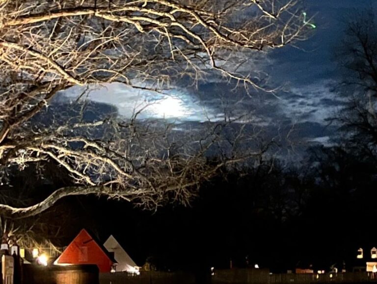 Williamsburg: Dead of Night Paranormal investigations Tour - Why You Should Consider This Tour