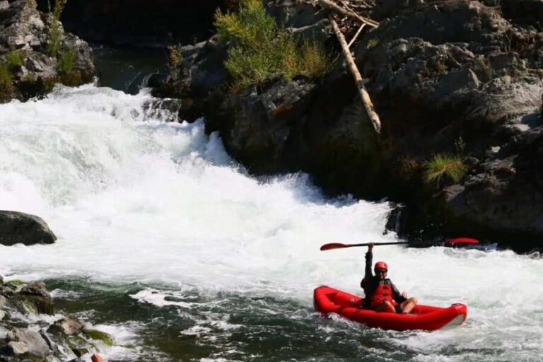 Willow Creek: Lower Trinity Full Day River Rafting Trip - Why This Trip Offers Great Value