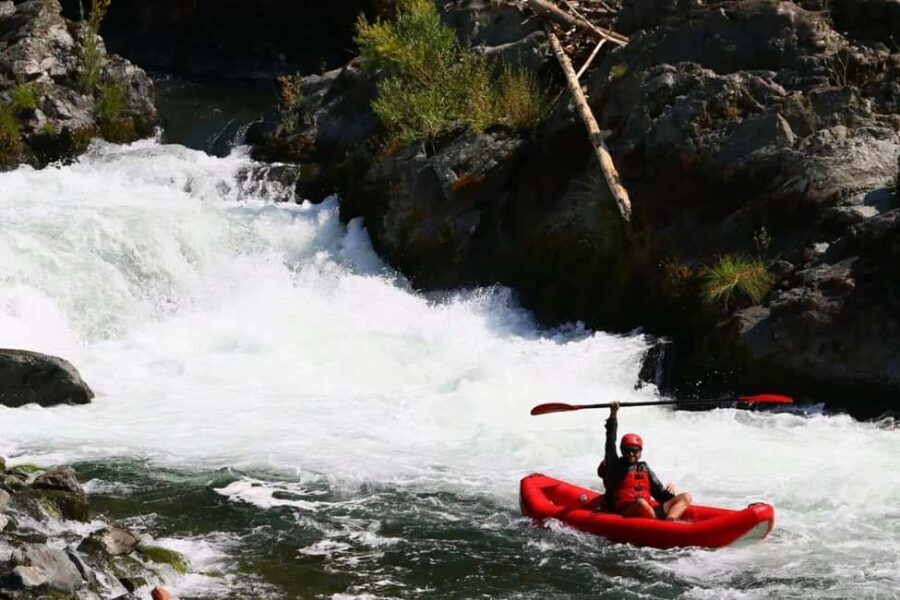 Willow Creek: Lower Trinity Full Day River Rafting Trip - Why This Trip Offers Great Value