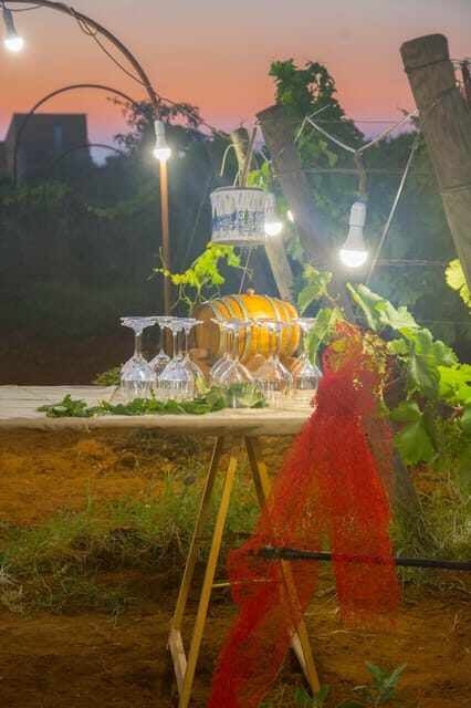 Wine and food at sunset - Why We Think This Tour Is a Great Choice