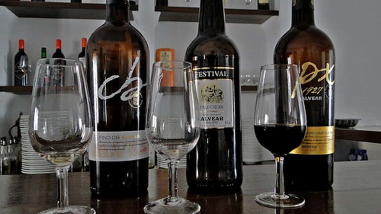 Wine Tasting and local tapas delight in Cordoba - Why It’s Worth Considering