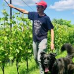 Wine Tasting and Winery Visit near Asti and Turin - Final Thoughts