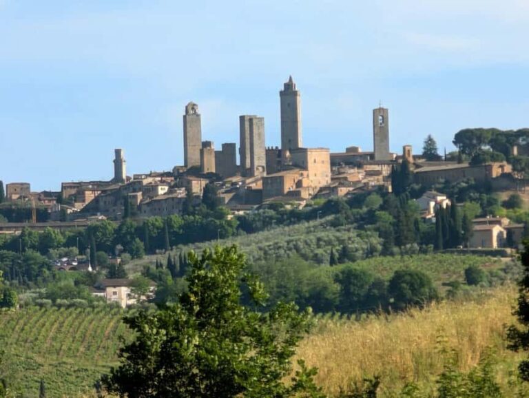 Wine Tasting - Essenza Toscana - An In-Depth Look at the Experience