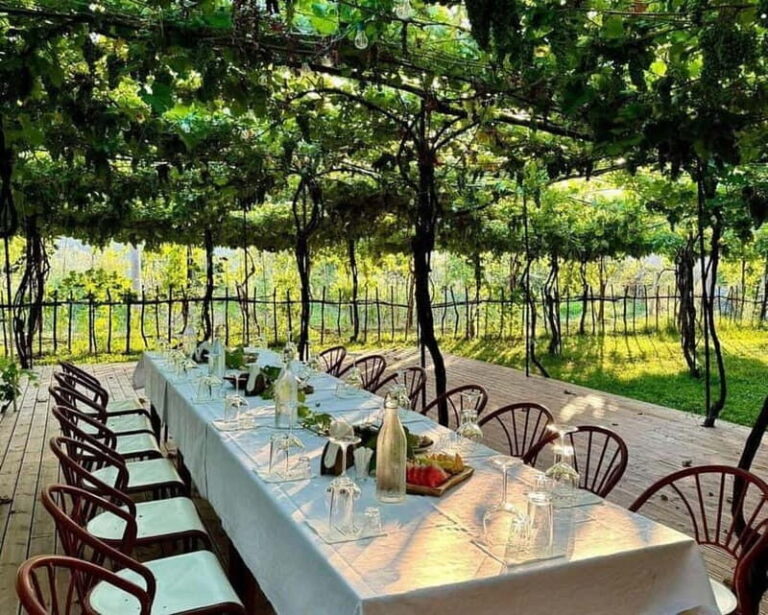 Wine Tasting Experience at Alpeta Winery - What Makes the Alpeta Winery Tour Stand Out?