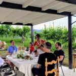 Wine tasting in the family cellar - Final Thoughts