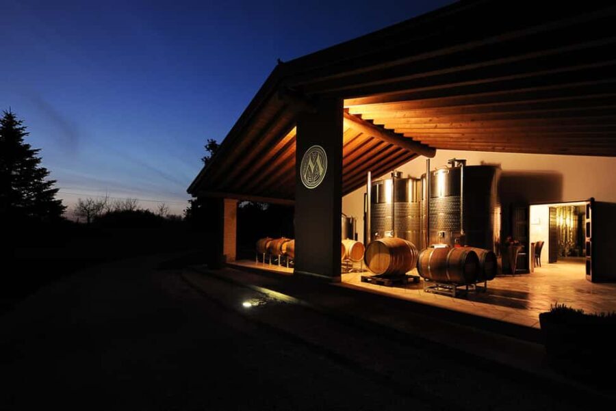 Wine tasting in the morainic hills at Tenuta Maddalena - Who Is This Tour Best For?