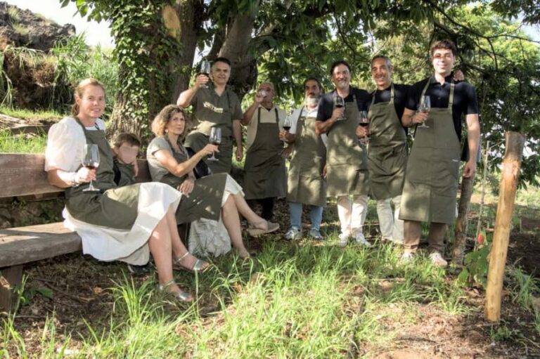 Wine tasting on Etna: volcanic flavors, history, and tradition - Why This Tour Offers Great Value