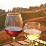 Wine Tasting - Private Half-Day Tour - What to Expect: Day-to-Day Breakdown