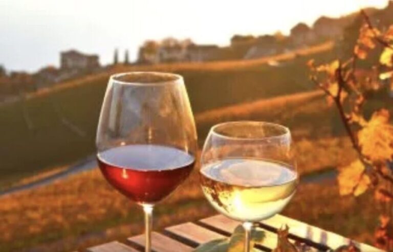 Wine Tasting - Private Half-Day Tour - What to Expect: Day-to-Day Breakdown