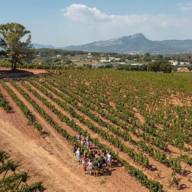 Wine tasting tour - Le Pradet - A Closer Look at the Experience