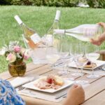 Wine Tasting with Food Pairing near Bologna - The Itinerary Breakdown: What to Expect