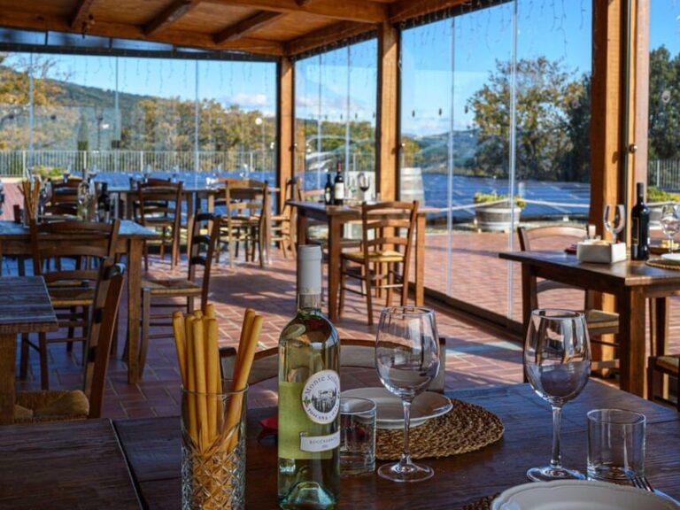 Wine Tasting with Local Food Pairing near Livorno - The Itinerary Breakdown